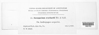 Image Associated With the Occurence